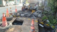 IMG-20240220-WA0029