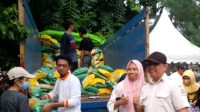 IMG-20240226-WA0032