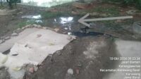 IMG-20241012-WA0000