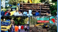IMG-20241103-WA0018 Penebangan Hutan