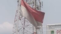 IMG-20241128-WA0017