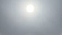 IMG-20250115-WA0012_1