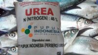 IMG-20250409-WA0008
