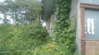 IMG-20250430-WA0041