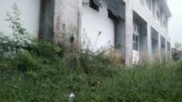IMG-20250917-WA0007