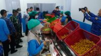 IMG-20250919-WA0004
