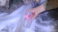 IMG-20260113-WA0000