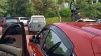 IMG-20260216-WA0010