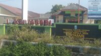 IMG-20260513-WA0031